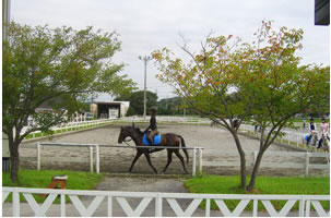 部班・馬場運動用馬場　60M×20M