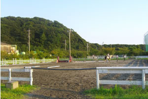 障害用馬場　60M×30M