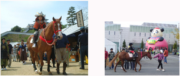 イベント曳き馬