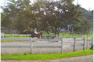 体験乗馬用円形馬場　18M