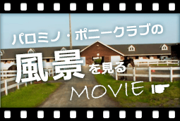 パノミノ・ポニークラブの風景を見るMovie