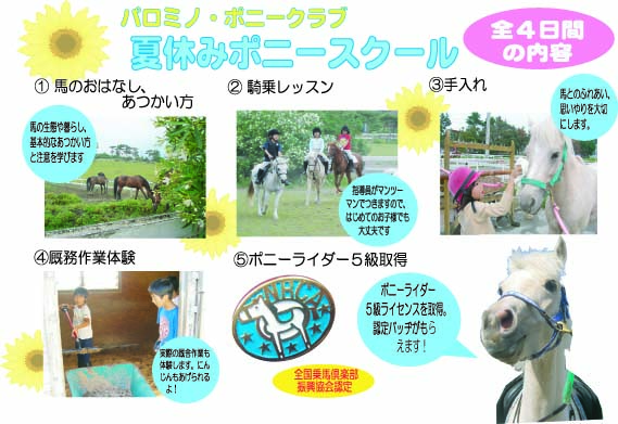 summerpony.jpg